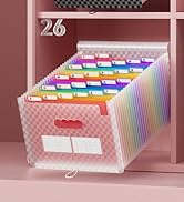 accordian file organizer pink