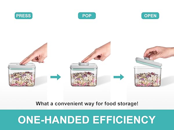 POP TOP CONTAINER
