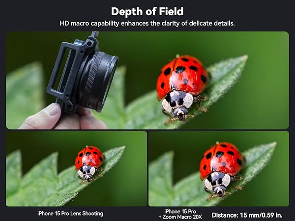 Depth of Field