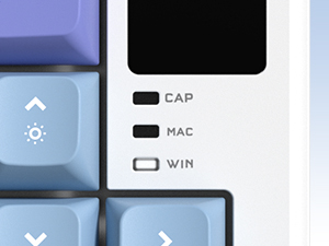 Compatible with Mac&amp;amp;Win