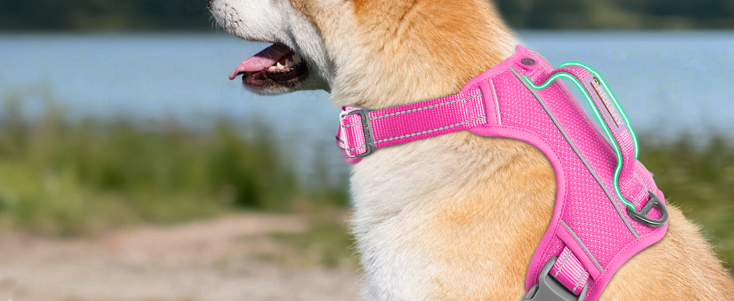 Top handle on dog collars harnesses leashes no pull dog harness for large dogs ruffwear dog harness