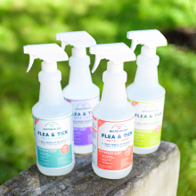 Wondercide Flea &amp; Tick