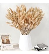 180 PCS Bunny Tails Dried Pampas Grass Decor, 17'' Brown Pampas Grass, Natural Rabbit Tail Dried ...