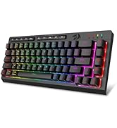 Redragon Portable Wireless Gaming Keyboard, Bluetooth/2.4GHz/USB-C Wired, RGB Backlit, 60% Mini Q...