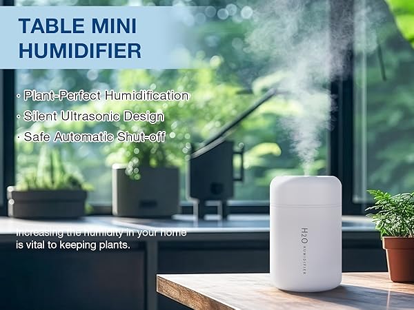 Small Humidifiers for Plants