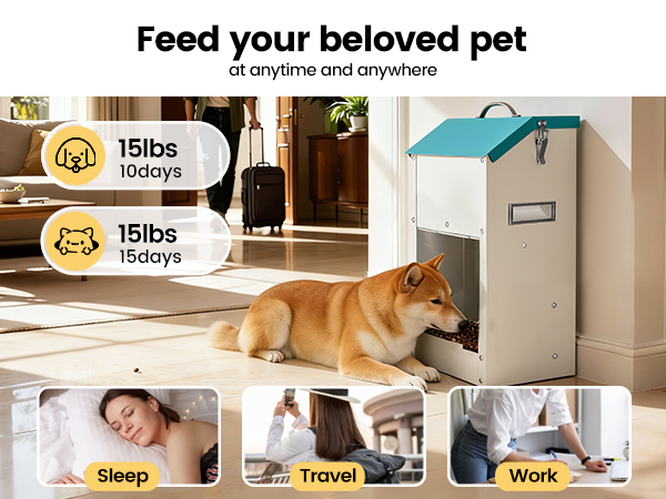 neater feeder large dog