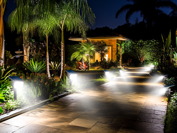 solar lights