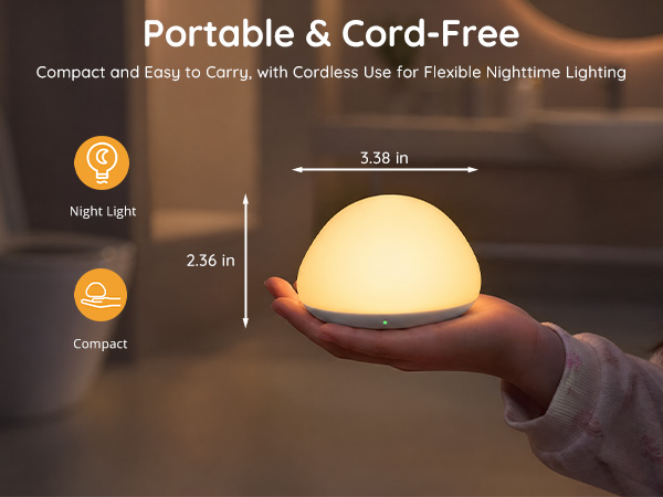 portable