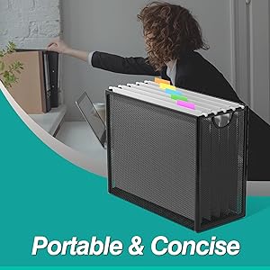 Hanging file organizer