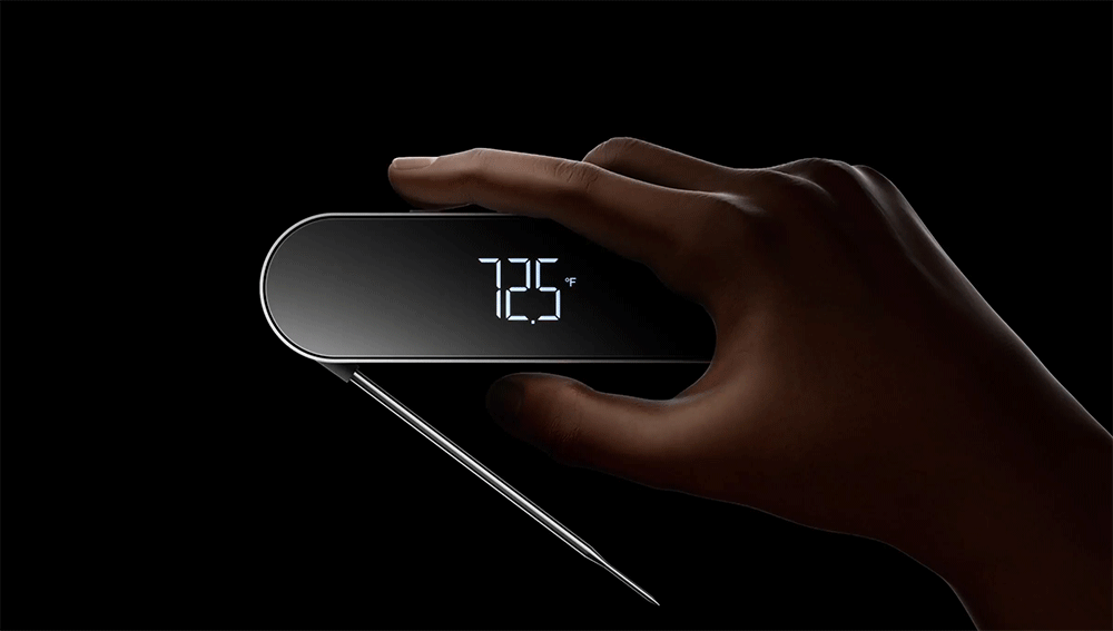 Typhur InstaProbe Core Meat Thermometer 