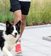 KUKZO Weighted Vest Woman, 6/8/12/16/20/25/30 LB Womens Weight Vest for Walking, Strength Trainin...