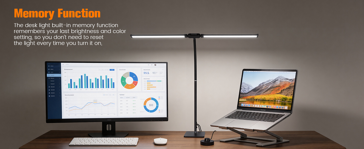 LED Desk Lamp with Base, Double Head Smart Desk Light with Controller Table Lamp for Home Office