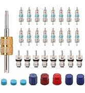 TWTADE 33PCS Air Conditioning Valve Core Kit - Schrader Valve Cores with Remover Tool &amp; Seal Caps...