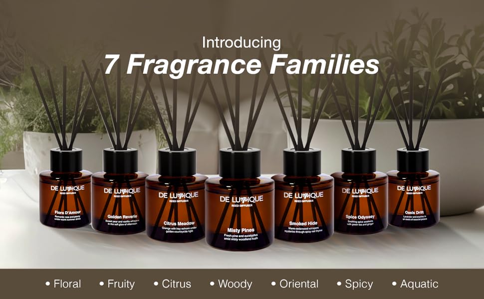 Home Fragrance Diffuser, Scented Oil Diffuser
