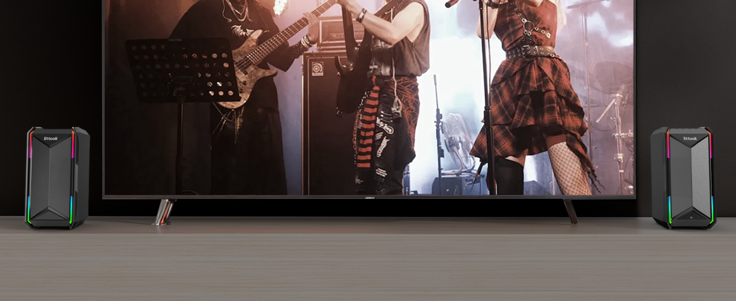 computer speakers for TV