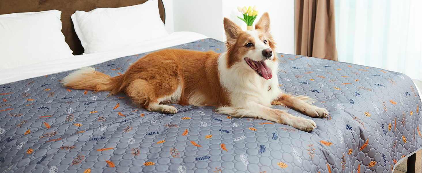 Bed Cover