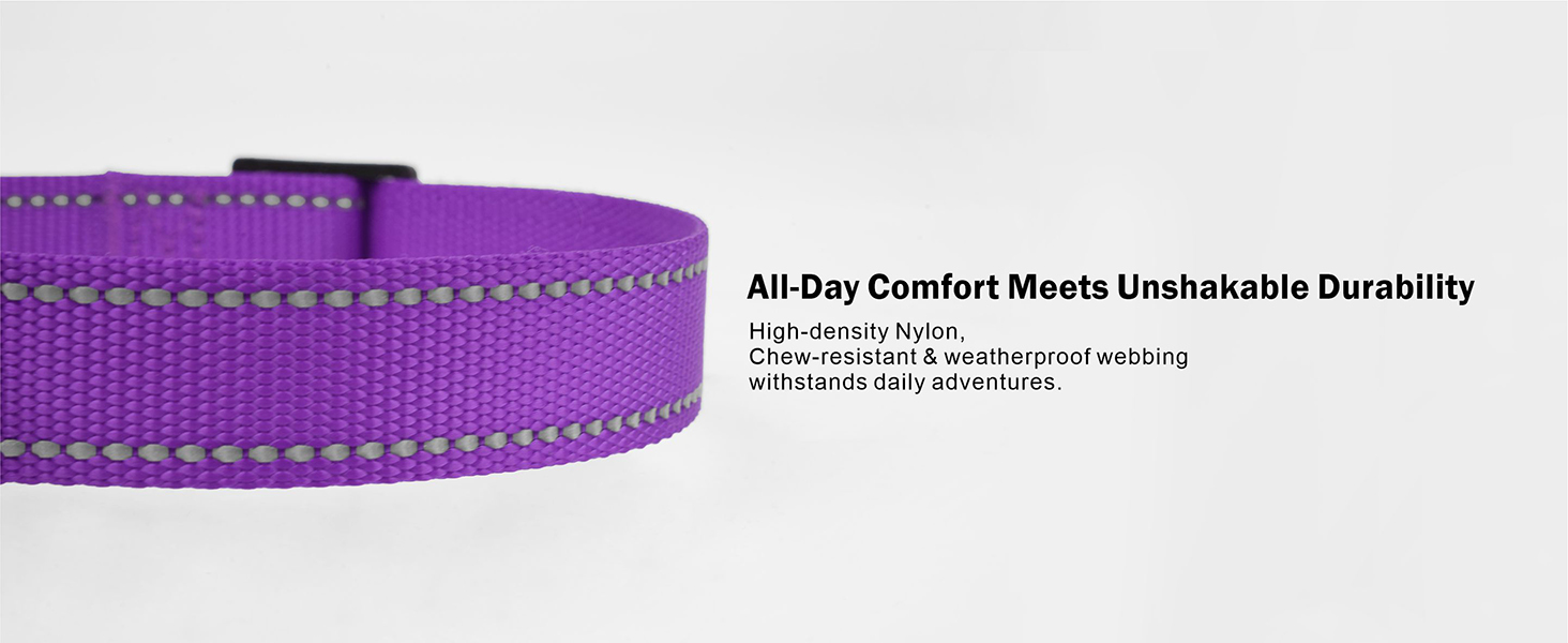 nylon dog collar