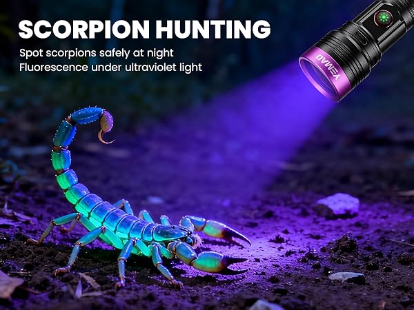 365nm ultraviolet light