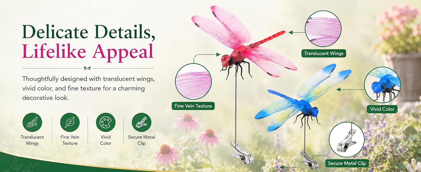 Fun Dragon Fly Clips Set