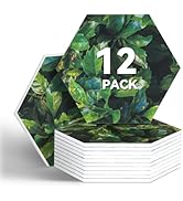12 Pack Acoustic Panels, 12