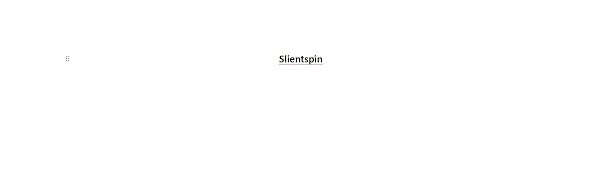 slientspin