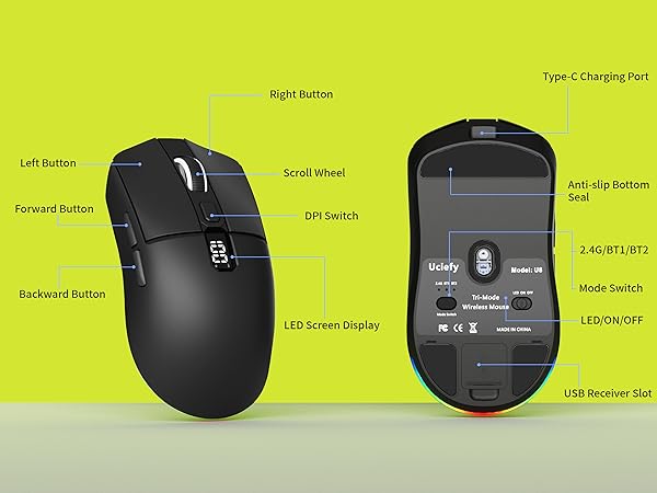 mouse