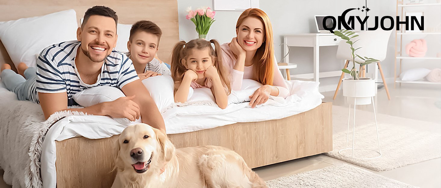 Professional rodent control program