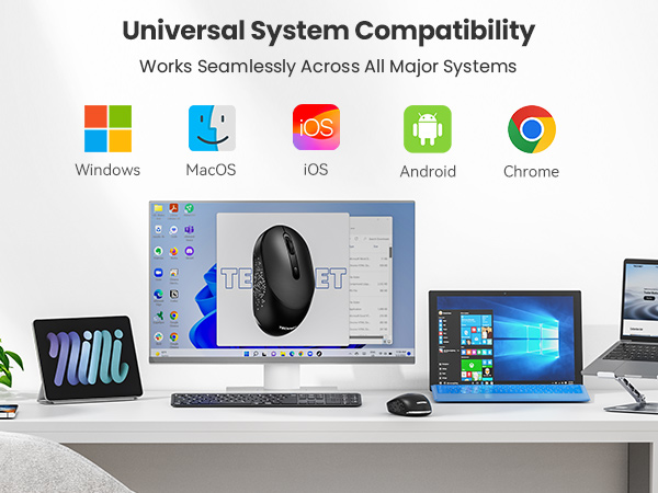Text reads 'Universal System Compatibility' 'Works Seamlessly Across All Major Systems'. Shows icons for Windows, MacOS, iOS, Android, and Chrome operating systems.