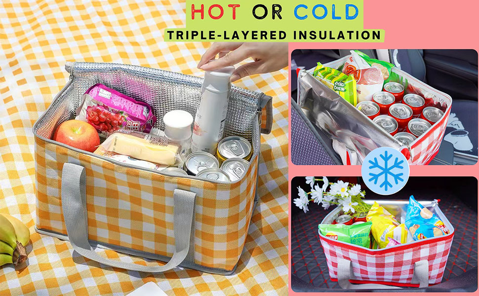 Picnic Bag Reusable