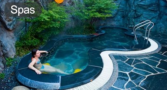 handhold pool vacuum 03