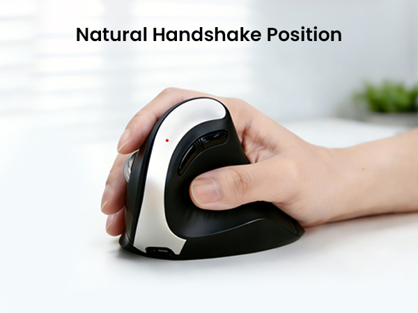 ergonomic mouse wireless