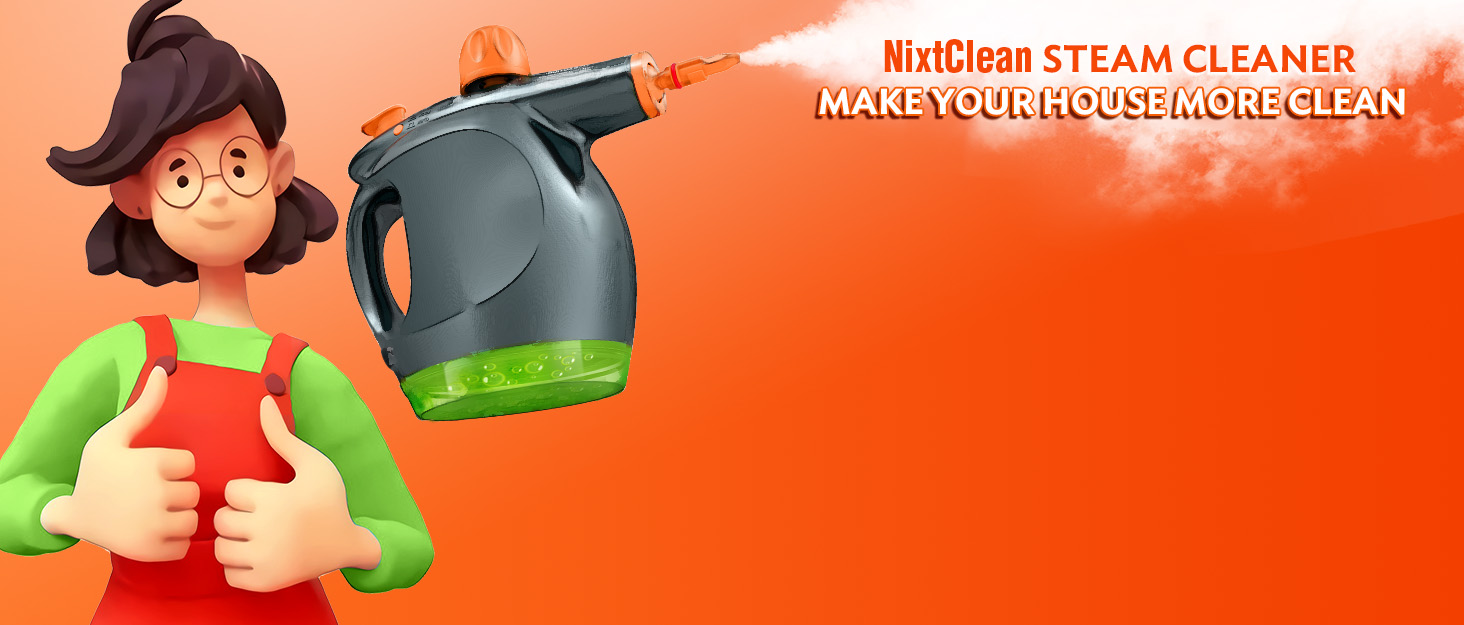 steam cleaner