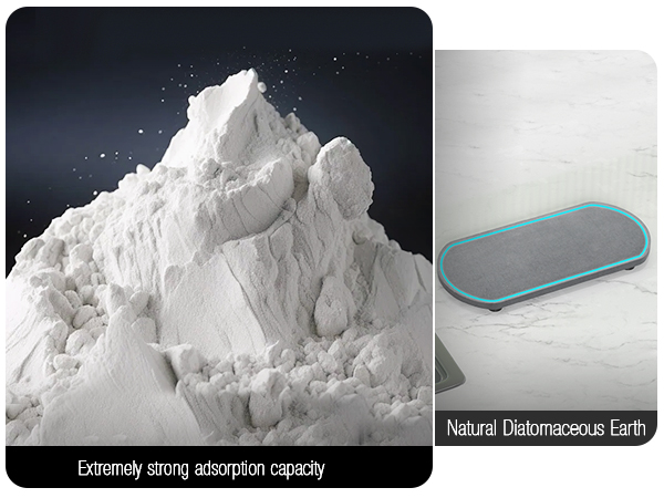 Natural Diatomaceous Earth