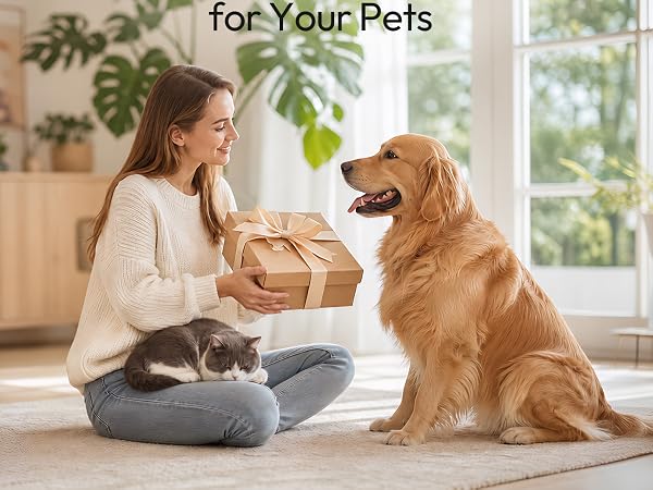 kitty puppy feeder