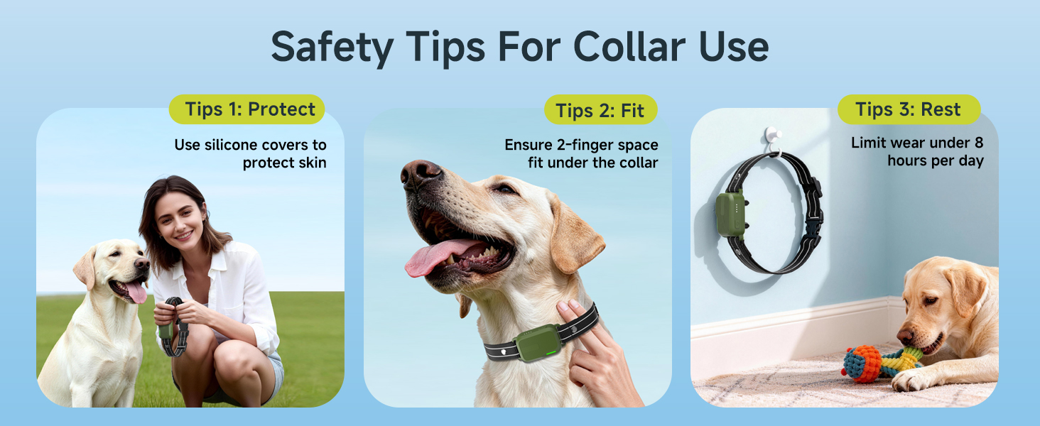 shock collar