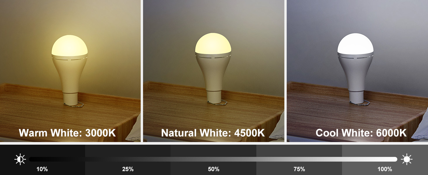 Brightown Rechargeable Light Bulb with Remote