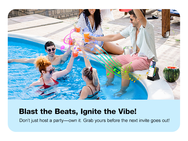 Wireless Induction Speaker