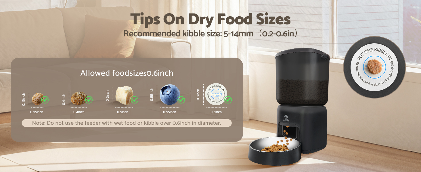 Automatic Cat Feeder