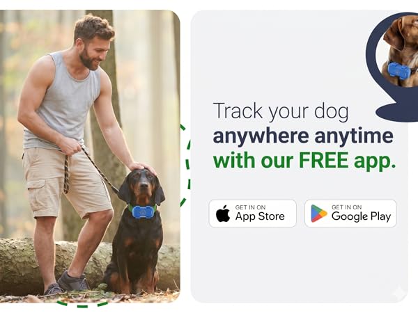 gps dog