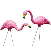 Bloem Pink Flamingo 25