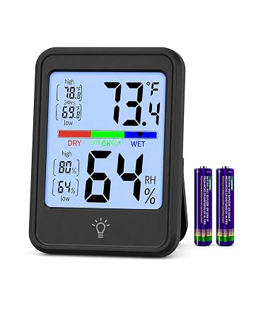 Indoor Thermometer