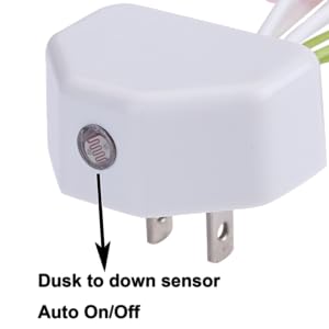 Sensor