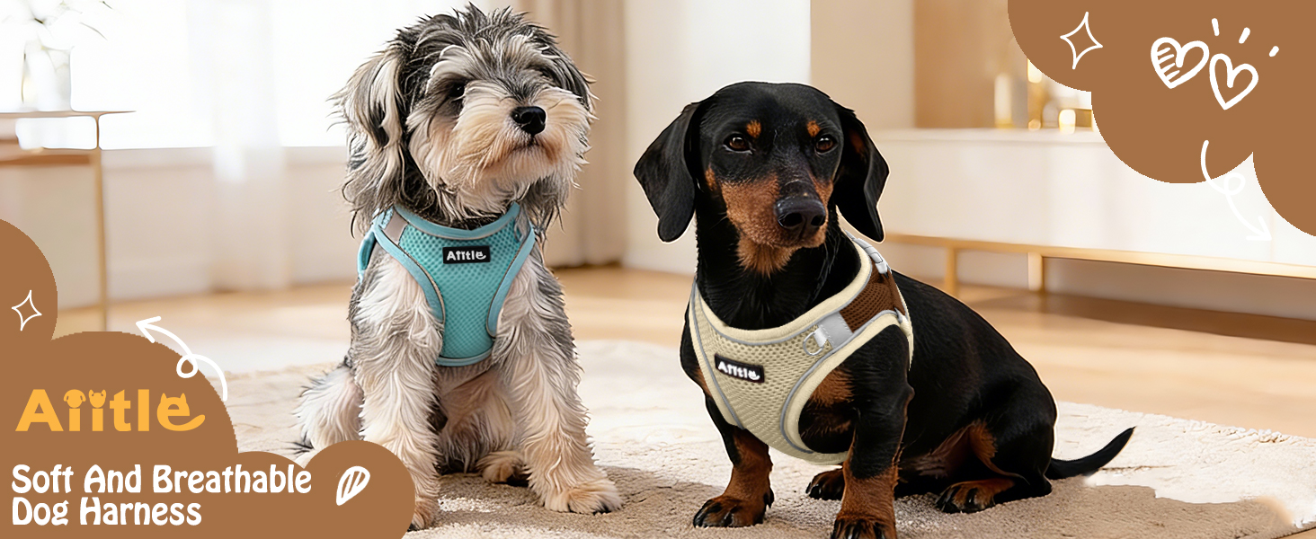AIITLE No Pull Dog Harness and Leash Set