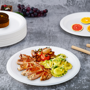 Disposable Paper Plates