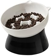 Elevated Slow Feeder Cat Bowl - Raised Tilted Ceramic Cat Food Dish - Wide, Whisker Friendly, Ant...