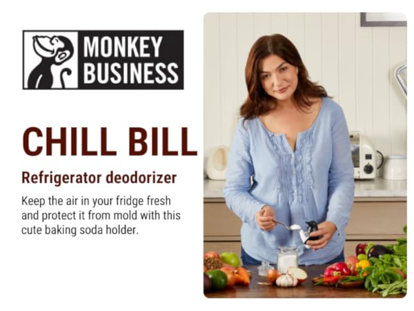 Chill Bill Refrigerator deodorizer