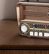 vintage retro am fm radio portable