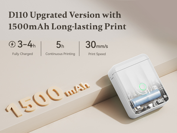 NIIMBOT D110 Chargeable Label Maker