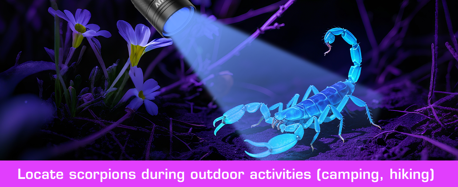 Locate scorpions during outdoor activities (camping, hiking) with this black light flashlight