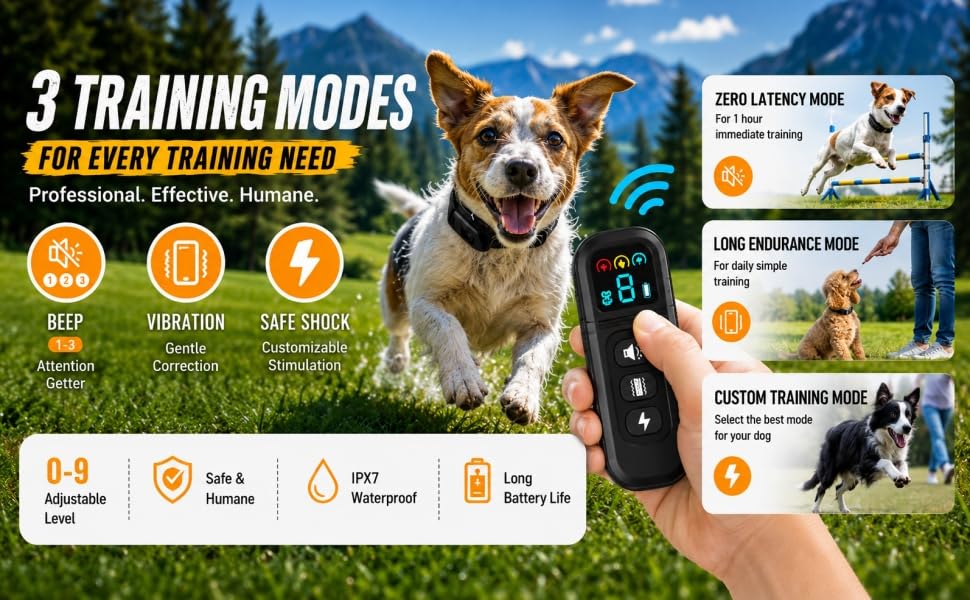 shock cllar for small dogs-5